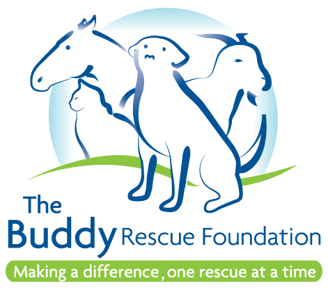BuddyRescue's profile picture. Making a Difference, One Rescue at a Time - We're a 501(c)(3) Organization specializing in Special Needs Animal Rescue.