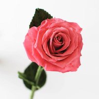すーさいど (@iloveyou3000ts) 's Twitter Profile