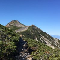 SHIO (@shio79628922) 's Twitter Profile Photo