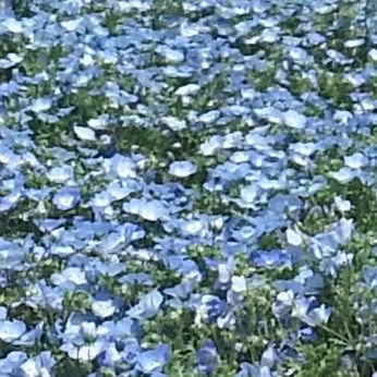 サザン、桑田さん大好き🥰　
海や空、花、綺麗な景色が大好き✨
いろいろつぶやきます☺️
リプは遅いです。ごめんなさい🙏
サザンオールスターズ応援団
サザ友激辛部 会員No.3