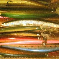 道楽道民道具箱 【北海道の釣りの痒ゐところ】 (@drk__dmn__dgbk) 's Twitter Profile