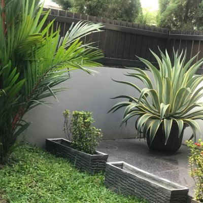 skycaptain5875's profile picture. rumput