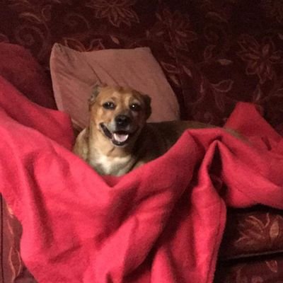 IonPahome's profile picture. 