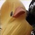 Cheeriooooooooooooooooooooo (@cheerioooooooo1) Twitter profile photo Cheeriooooooooooooooooooooo (@cheerioooooooo1) Twitter profile photo