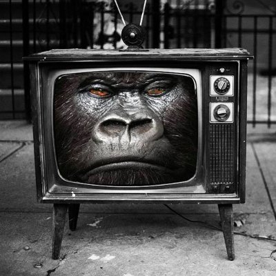 FatGorilla2020's profile picture. I love bananas and Jerome Powell ❤️