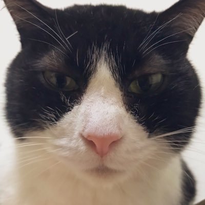 ななさんのプロフィール画像