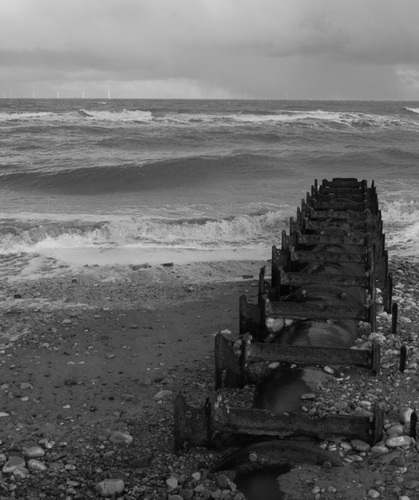 T0NYG0LD's profile picture. Jack of no trades, master of non.