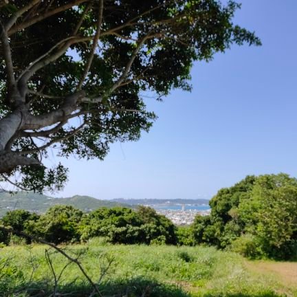 remominsui's profile picture. よろしくお願いします