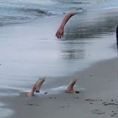 dingdongitstom's profile picture. 