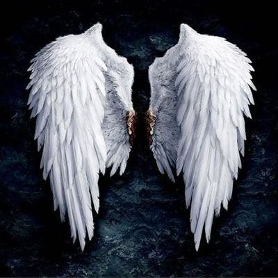 Ranjith8825987's profile picture. 