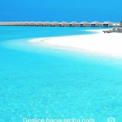 negrahs's profile picture. 