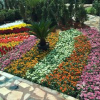 عالم الزراعه (@tmlri0sthcuinvt) 's Twitter Profile