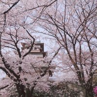 γ γγπ (@dayu1979) 's Twitter Profile
