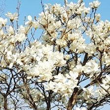 ERUTA17's profile picture. 