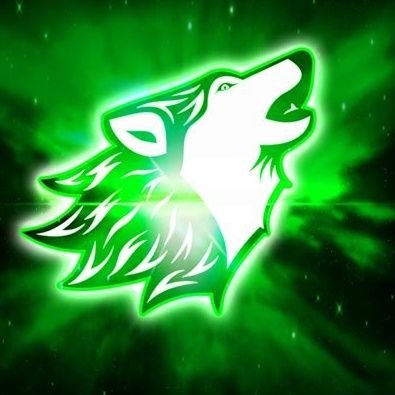 SerialGamer9's profile picture. Gamer passionné depuis toujours