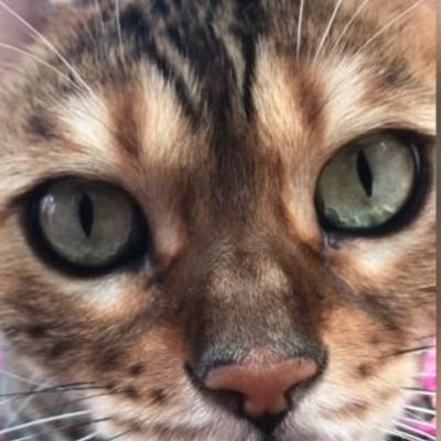 kazznova1's profile picture. One face in a crowd of billions trying to survive on a small planet.