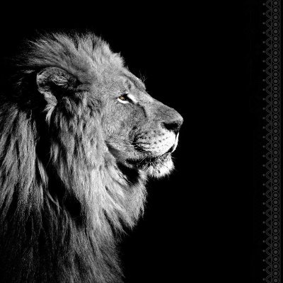 MezerLe's profile picture. 12 yo/fortnite compétitive/ joueur FN 🇫🇷🇩🇿 
mezer#7138