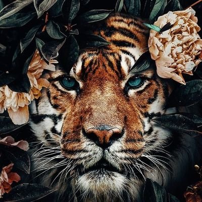 Vlooi07's profile picture. 