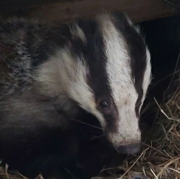 RachelBrought14's profile picture. A bit pissed off actually, since you ask.