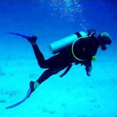 OBycSTCUoPRTDTX's profile picture. 