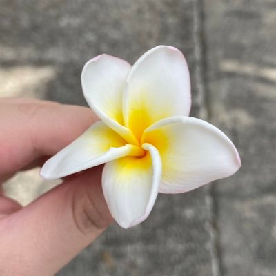 HkLiberez's profile picture. #FollowBackHongKong 🇭🇰 | Rebellion has become our duty | Stand with HK in our fight for freedom / Luttez pour la liberté avec nous | #手足科勞