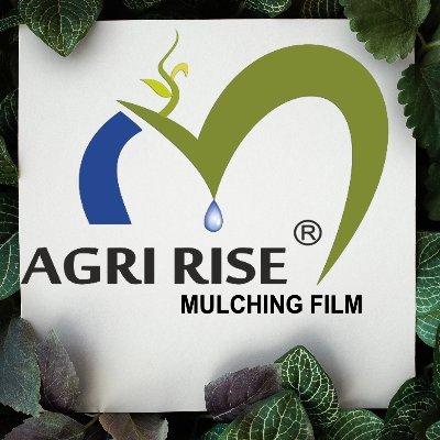 #Agririse  is an agriculture company that manufactures #mulching_film, #polyhouse_film and crop-fruit cover. We are based at Nashik.