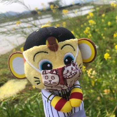 Twitter🔰 野球好き ⚾️タイガースファン🐯オリックス も推してます💕 永遠のヒーローはウルトラマン  白猫 おろし(4歳)に日々癒されてます