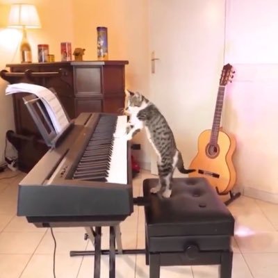 IqsStxpVAy's profile picture. 🌈音楽が好き💖すぎて気がついたら作曲家になってた🎸収入は音楽だけじゃなかったりする💰💰💰曲書いて、ギター弾いて、アニメ観て、呑みながらまた曲書いての日々🍀🍀🎹は練習中🤗たくさんの人たちと繋がりたいのでまずはフォロワー2000人目指します🌈フォロバ必ずするのでよろしくお願いします