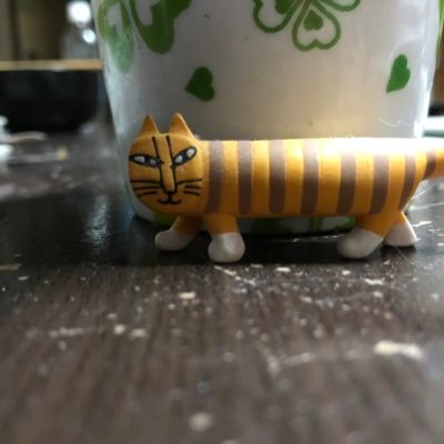 suke_sankaku's profile picture. 20↑成人済。強い女が好き。花宮初奈さん・乙宗梢さんを応援しております。ばっどがーる／プリンセス・プリンシパル／まちカドまぞく／胡蝶しのぶさん・カナエさん ・胡蝶姉妹／ダンジョン飯／ワールドトリガー／ 電音部・アザブエリア