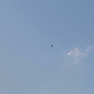 paulacarbo97's profile picture. 🌎🌍🌏