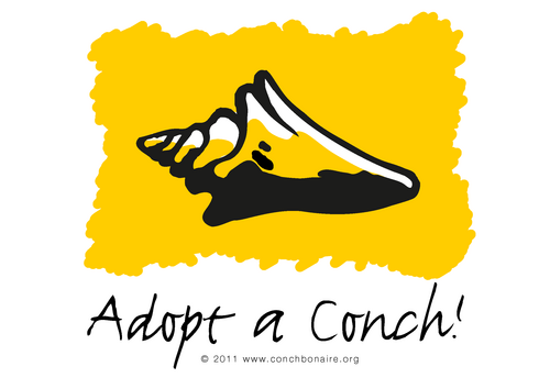 The 'Adopt a conch' program is a program of the non profit Bon Kousa Foundation. Proceeds will be used to provide tools to increase awareness