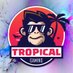 TropicalGaming (@tropicalgamingv) Twitter profile photo TropicalGaming (@tropicalgamingv) Twitter profile photo