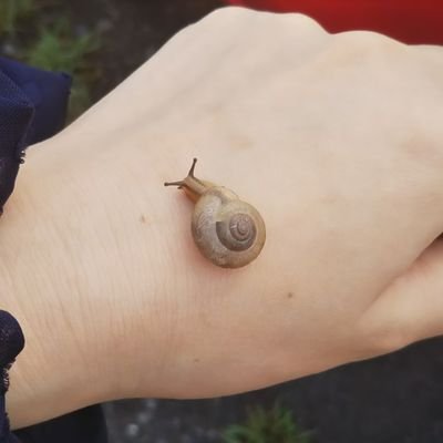 いろいろさんのプロフィール画像