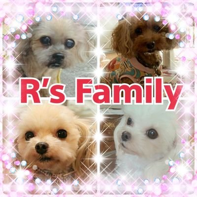 我が家のわんず🐶(R's)溺愛中💖 🌸ﾘｺ お空組🌈16歳🌸ﾚﾅ15歳🌸 ﾗﾌﾞ&ﾙｱ(ﾏﾙﾌﾟ-双子姉妹)7歳 🌸Twitter不具合が多発中😱💦ｲｲﾈ♡&ﾌｫﾛ-外れたりetc…失礼あったら すみません🙏😭皆さんの優しい繋がりに感謝ʚ💗ɞです。