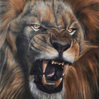 Chris Ru (@chrisru10) 's Twitter Profile