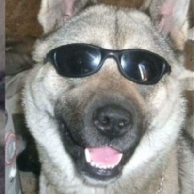 JasvinderDhari4's profile picture. 