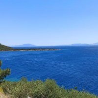 bodrum çift paylaşım (@bodrumbuddy) 's Twitter Profile