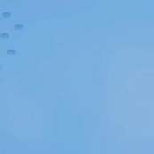 柚竹 (@yuzatake) 's Twitter Profile Photo