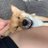 DDhirokichi's profile image