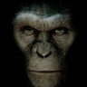 PissedOffMonkey's profile picture. Anti-globalist Libertarian ... 
Just cause you got the monkey off your back doesn't mean the circus has left town..
George Carlin