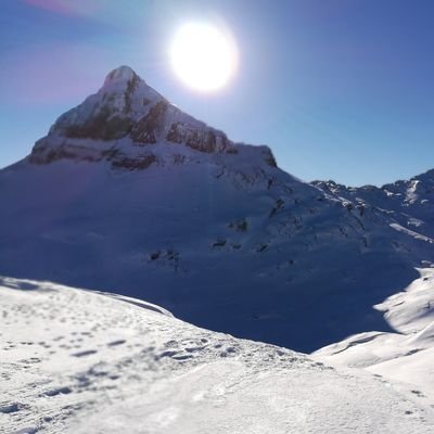 javier_sagaseta's profile picture. Osasuna eta askatasuna!!!!Ez dugu izaterik aske haiek gabe.