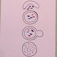 Mathias Faure Lab - APY - Autophagy IBD infection (@a2islab) 's Twitter Profile