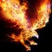 CatchFire2020 (@cfire2020) Twitter profile photo CatchFire2020 (@cfire2020) Twitter profile photo