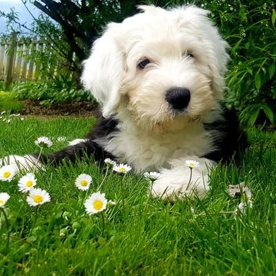 BRosamunde's profile picture. ich bin wild und neugierig