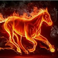 Dostum_1 (@velociraptor012) Twitter profile photo