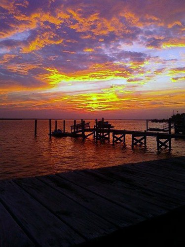 jwyl153's profile picture. 