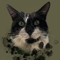 Mr Oreo (@oreoanddora) 's Twitter Profile