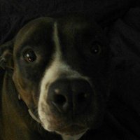 Jim Boneberg (@jimboneberg) 's Twitter Profile