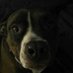 Jim Boneberg (@jimboneberg) Twitter profile photo Jim Boneberg (@jimboneberg) Twitter profile photo