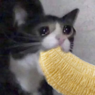 The Ugly Dyke Has Returned!さんのプロフィール画像